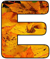 Herbstbuchstabe-2-E.jpg